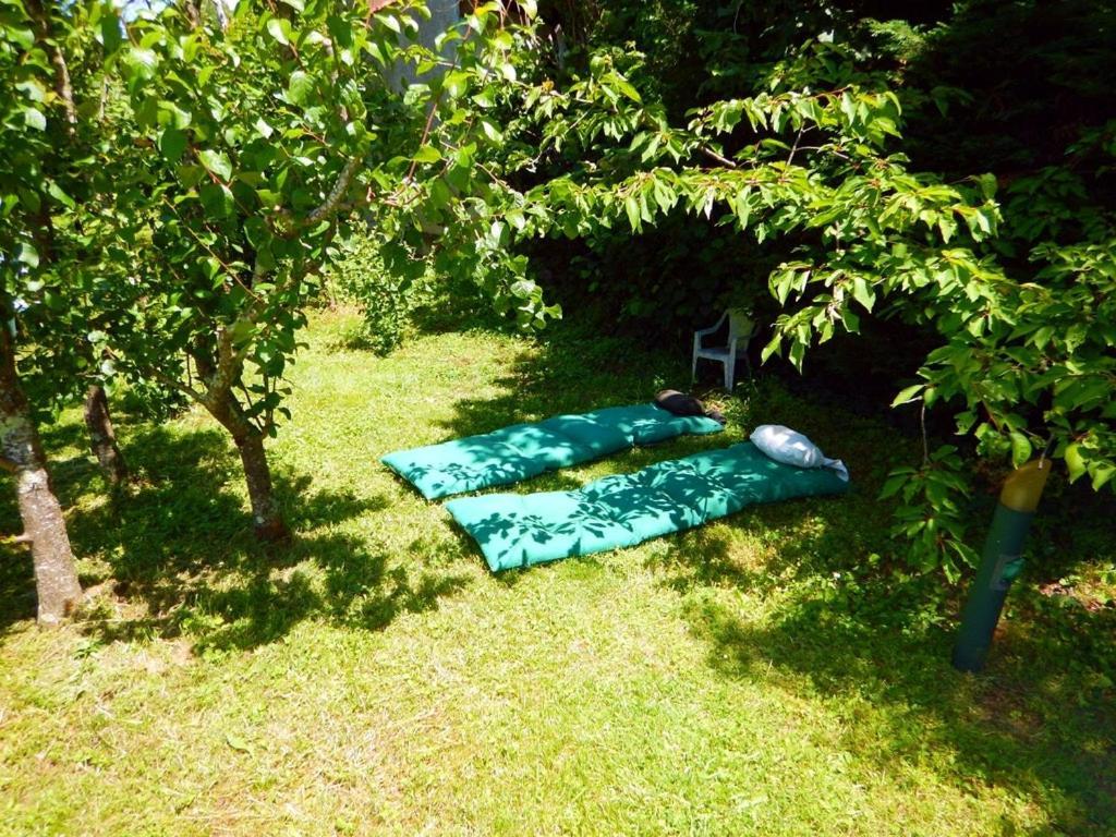 דירות טולוז 80 M2 Independant 4 Personnes Direct Gare Ou Aeroport Jardin Piscine מראה חיצוני תמונה
